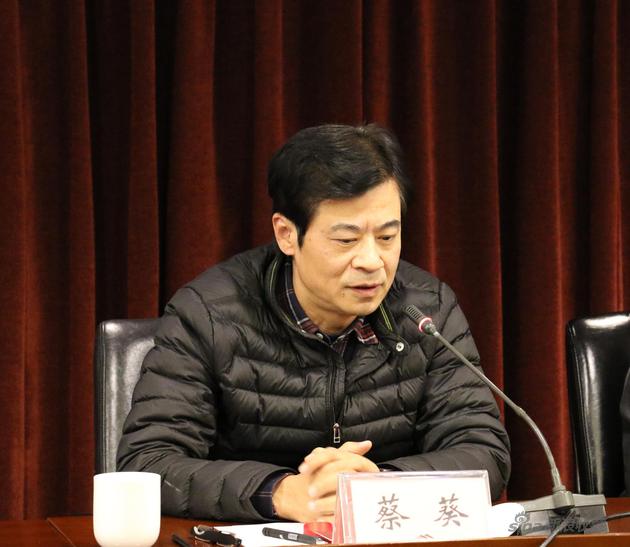 中国艺术研究院国画院人物工作室主任蔡葵