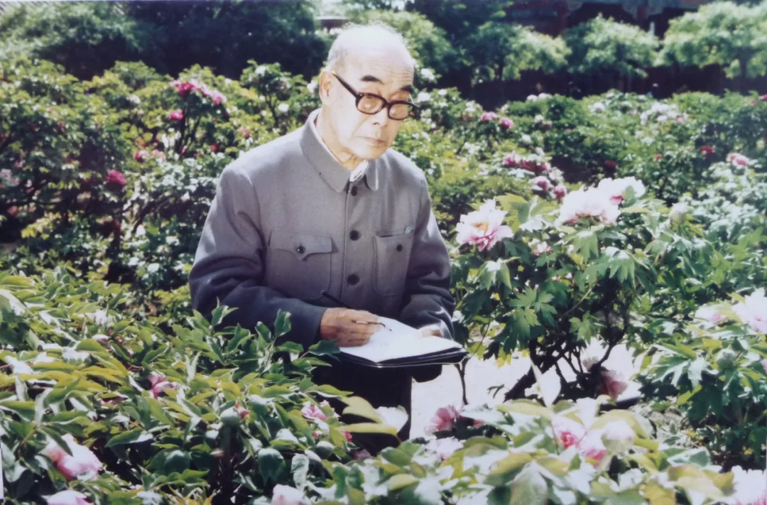 1979年参与拍摄纪录片《王雪涛的画》，在景山公园写生