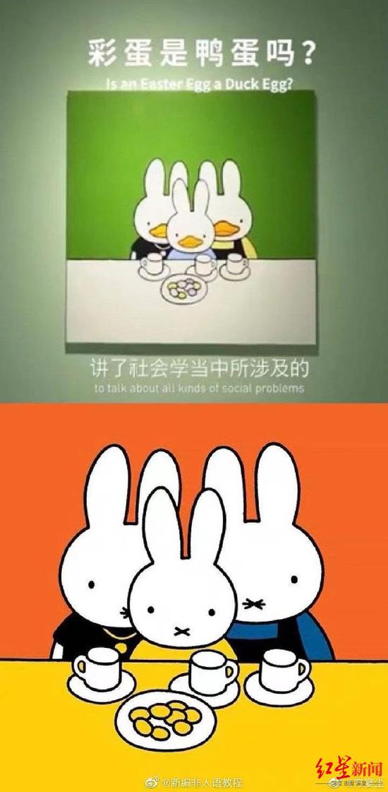  鸭兔（上）与米菲兔人物形象、摆盘及豆子数目对比图。图据微博