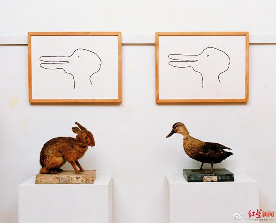 冯峰创作的第一件《鸭兔》作品。图据微博