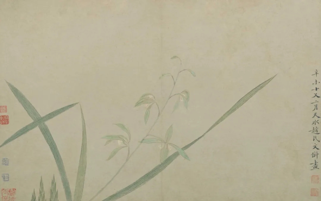 （明）文俶《花卉图册》，故宫博物院藏