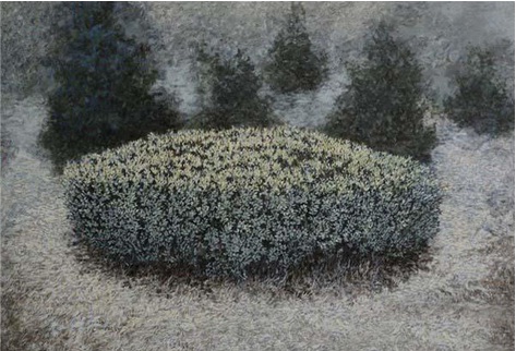 《灌木丛（四）》 宽虹 200×150cm 2011年