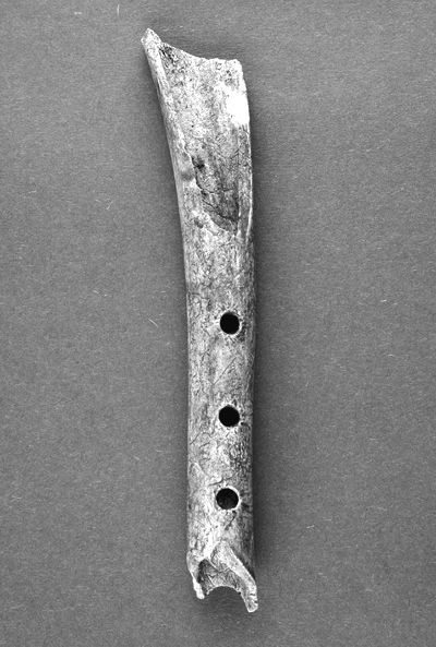 奥地利最古老乐器:2万年前的驯鹿骨笛