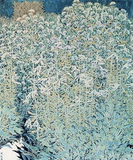 张东菊作品