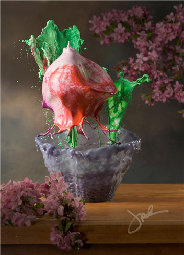 液体花卉摄影