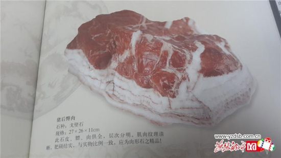 　张家口奇石 “生猪肉石”