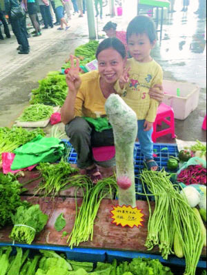 东莞农贸市场国际艺术节