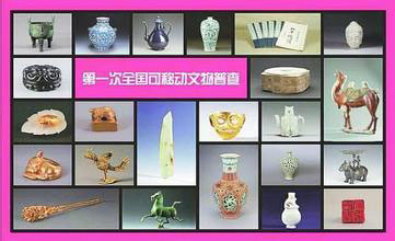 全社会性的国有可移动文物普查首次开展