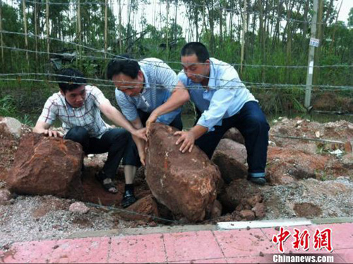 广东河源发现古生物化石