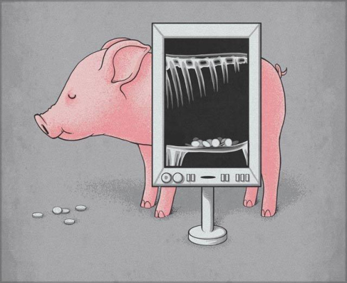 诙谐插画：看到生活的另一面