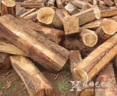 非洲原木市场涨跌各异：黄花梨下跌 沙比利上涨