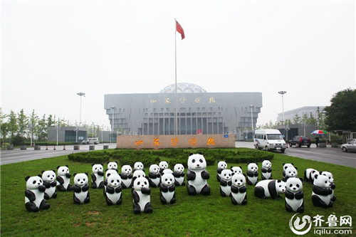 百只熊猫雕塑乘公交环游“快闪”济南