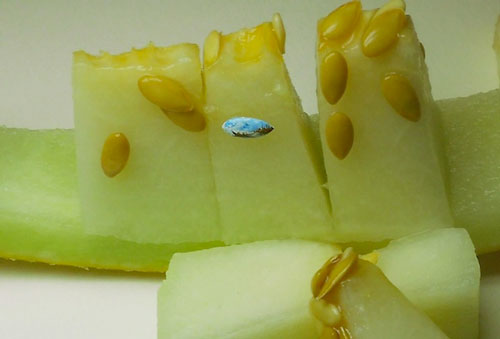 用放大镜才能看到的食物微绘画（组图）