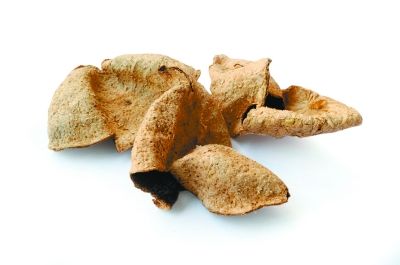   柑普茶