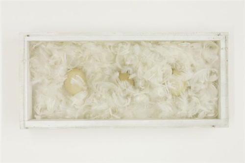 斯蒂林诺维奇个展“White Absence”