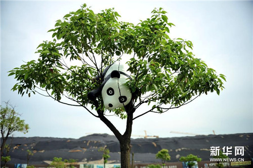 “1st panda”熊猫总动员全国巡回展扬州站