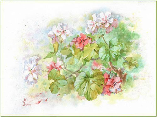 白俄罗斯艺术家Inna水彩花卉插画作品欣赏