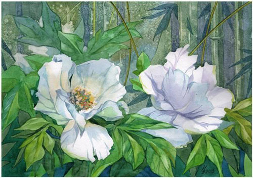 白俄罗斯艺术家Inna水彩花卉插画作品欣赏