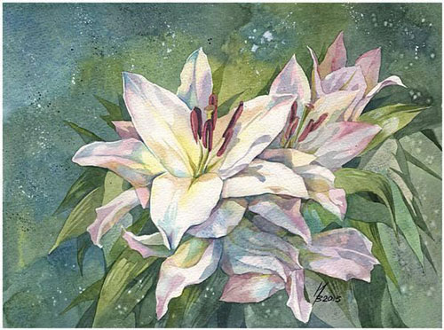 白俄罗斯艺术家Inna水彩花卉插画作品欣赏