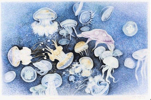 《浮游》