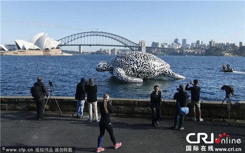 悉尼现5米高15米长充气大海龟  助兴水族馆海底艺术展