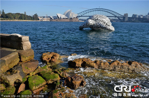 悉尼现5米高15米长充气大海龟  助兴水族馆海底艺术展