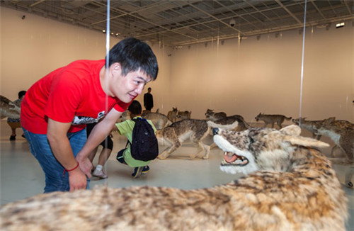 自闭症少年参观《蔡国强：九级浪》个展