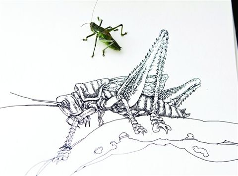 袁牧：画只虫儿听秋声