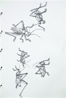 袁牧：画只虫儿听秋声