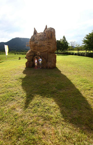 日本香川县和新泻县的水稻秸秆艺术造型雕塑欣赏