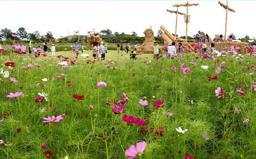 日本香川县和新泻县的水稻秸秆艺术造型雕塑欣赏