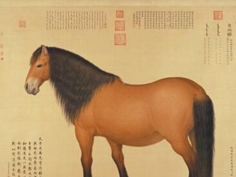 清乾隆年间郎世宁作品《自在驹》