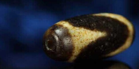 天价天珠缘为何？