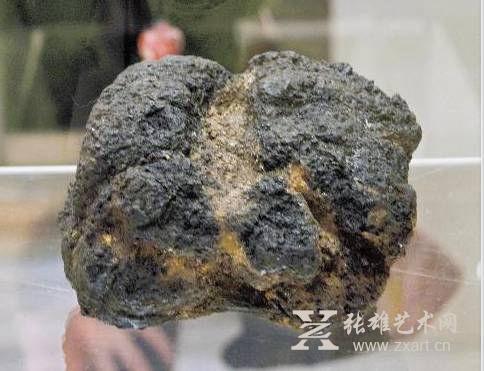   此次展出的饭团化石