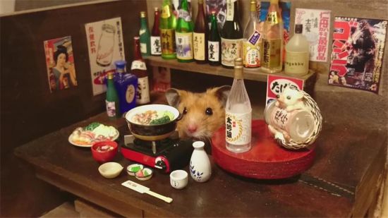 摄影师用袖珍版的海报等打造逼真的“仓鼠酒吧”
