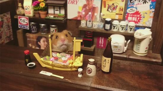 摄影师用袖珍版的海报等打造逼真的“仓鼠酒吧”