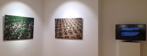  展览现场