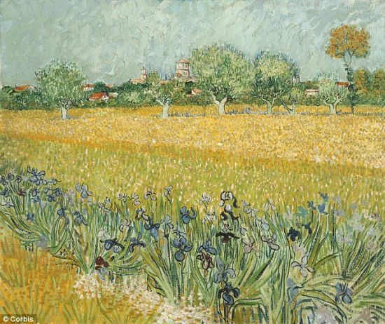 “患病”的梵高作品《鸢尾花盛开的原野》(Field with irises near Arles）