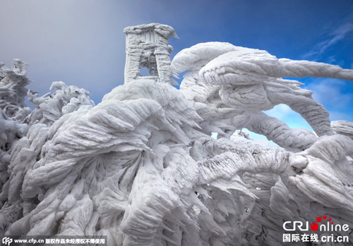 摄影师镜头下暴风雪天气之后的景象令人震撼！