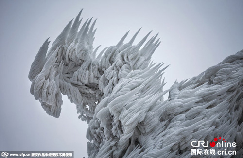 摄影师镜头下暴风雪天气之后的景象令人震撼！