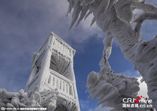 摄影师镜头下暴风雪天气之后的景象令人震撼！