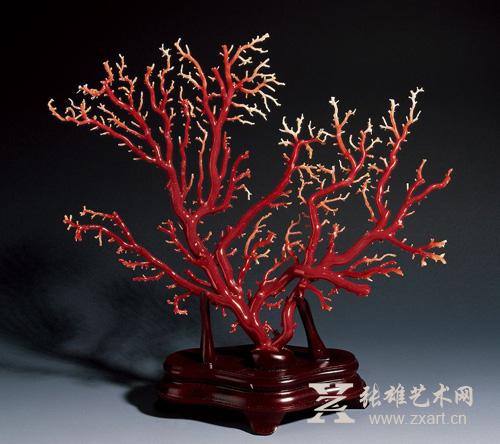 珊瑚性能不稳定不适合长线收藏