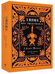 《文雅的疯狂》