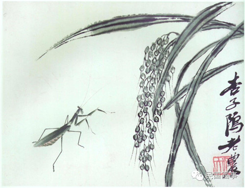 稻穗螳螂（花果草虫册页之三）