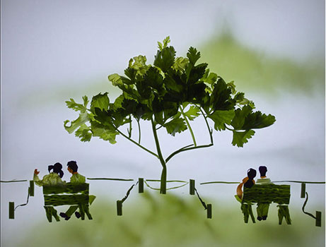 吃货也不忍：蔬菜拼出的西湖美景