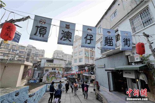 厦门顶澳仔化身猫咪文化街 萌宠涂鸦吸睛