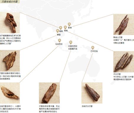   图片资料