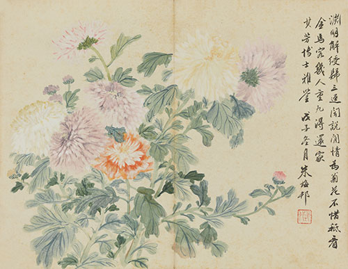 朱梅邨  (1911-1993) 簇簇富贵   