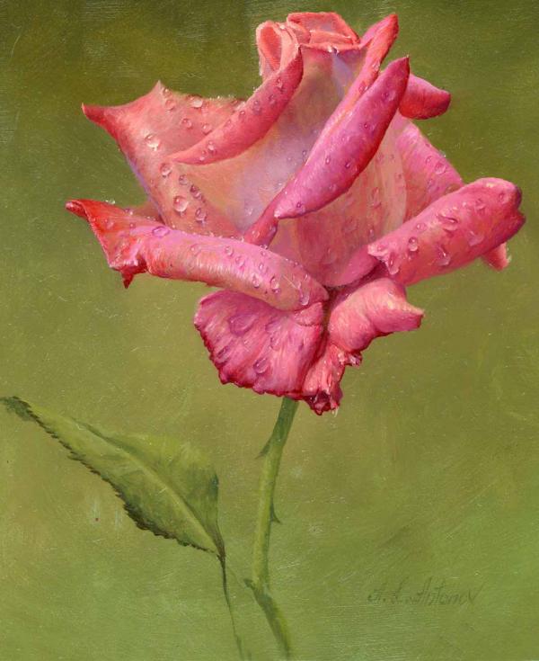 艺术家Alexei Antonov玫瑰花绘画欣赏