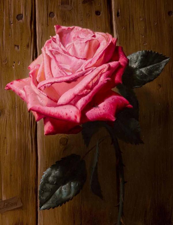 艺术家Alexei Antonov玫瑰花绘画欣赏